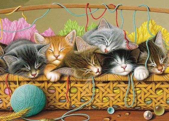 AB Diamond Painting - Full Round - Cats (50*70cm)
