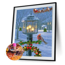 Load image into Gallery viewer, Diamond Painting - Full Round - Street Lamp Bird (30*40cm)
