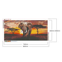 Load image into Gallery viewer, Diamond Painting - Full Round - Elephant (80*40cm)
