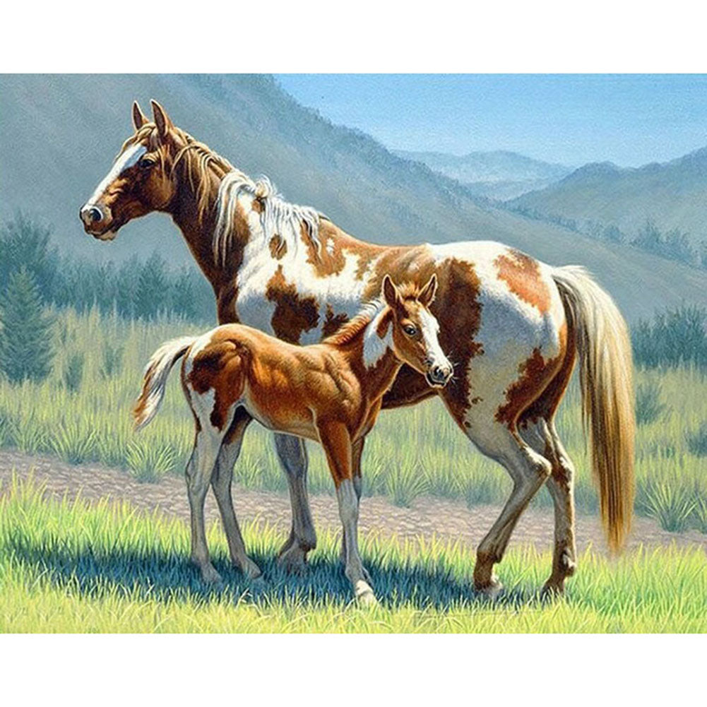 Diamond Painting - Full Round - Horse Grassland (40*30cm)