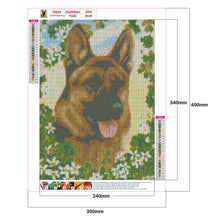 Load image into Gallery viewer, Diamond Painting - Full Square - puppy (30*40CM)

