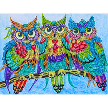 Load image into Gallery viewer, Diamond Painting - Full Crystal - owl (40*30CM)
