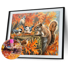 Load image into Gallery viewer, Diamond Painting - Full Round - Squirrel and his bird friend (50*40CM)
