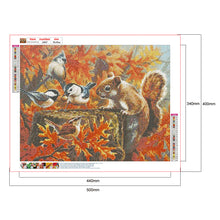 Load image into Gallery viewer, Diamond Painting - Full Round - Squirrel and his bird friend (50*40CM)
