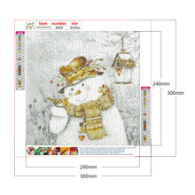 Load image into Gallery viewer, Diamond Painting - Full Round - Snowman and bird (30*30CM)
