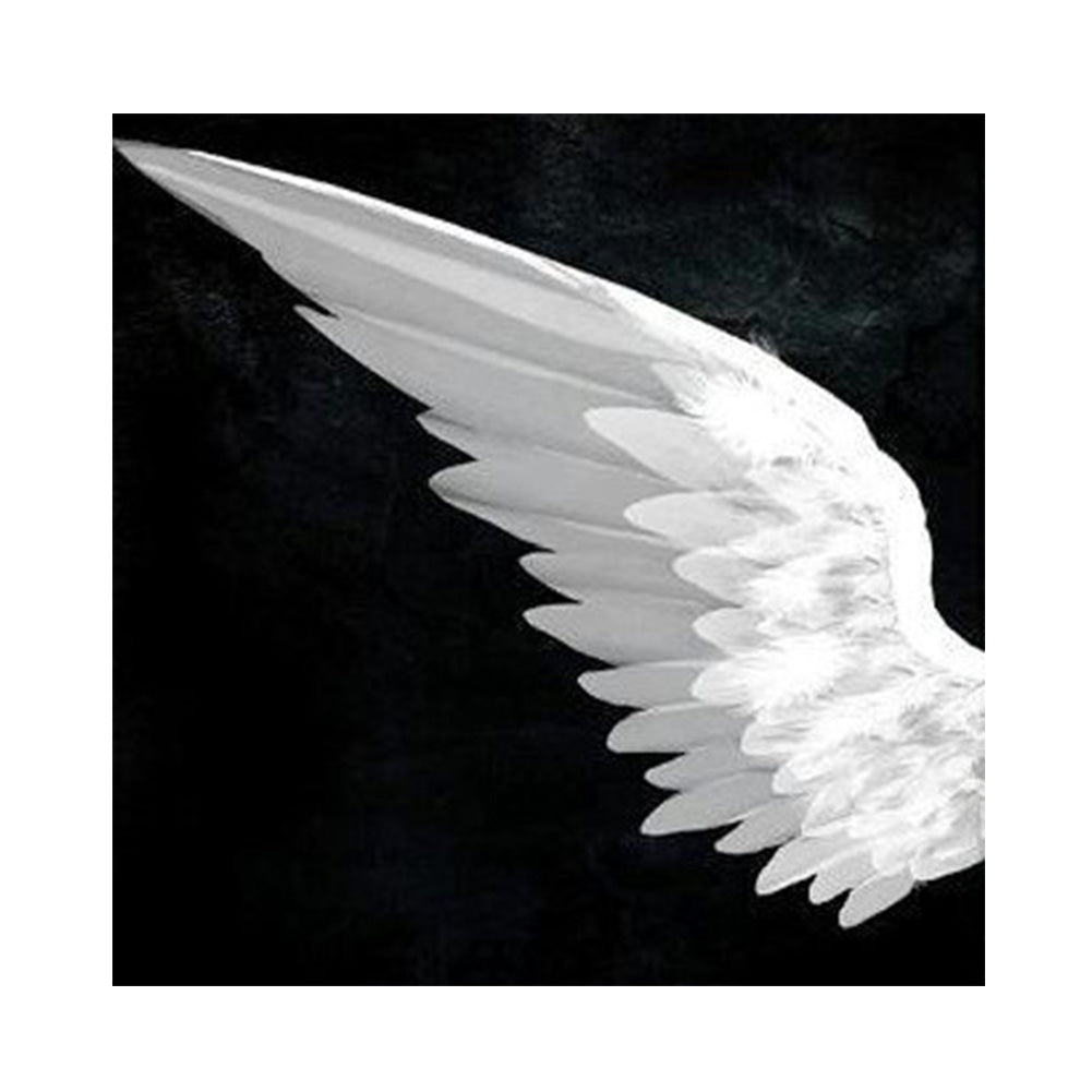 Diamond Painting - Full Round - Angel wings (40*40CM)