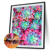 Load image into Gallery viewer, Diamond Painting - Full Round - Succulents (30*40CM)

