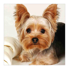 Load image into Gallery viewer, Diamond Painting - Full Square - Cute puppy (30*30CM)
