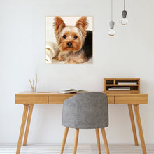 Load image into Gallery viewer, Diamond Painting - Full Square - Cute puppy (30*30CM)
