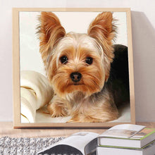 Load image into Gallery viewer, Diamond Painting - Full Square - Cute puppy (30*30CM)
