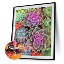 Load image into Gallery viewer, Diamond Painting - Full Round - succulent flower (30*40CM)
