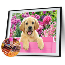 Load image into Gallery viewer, Diamond Painting - Full Round - cute cat (40*30CM)

