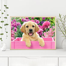 Load image into Gallery viewer, Diamond Painting - Full Round - cute cat (40*30CM)
