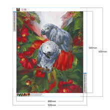 Load image into Gallery viewer, Diamond Painting - Full Round - parrot animal (50*60CM)
