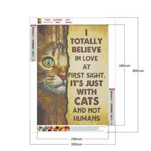 Load image into Gallery viewer, Diamond Painting - Full Round - cat english (30*40CM)
