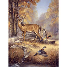 Load image into Gallery viewer, Diamond Painting - Full Round - Elk (30*40CM)
