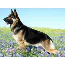 Load image into Gallery viewer, Diamond Painting - Full Round - German Shepherd (40*30CM)
