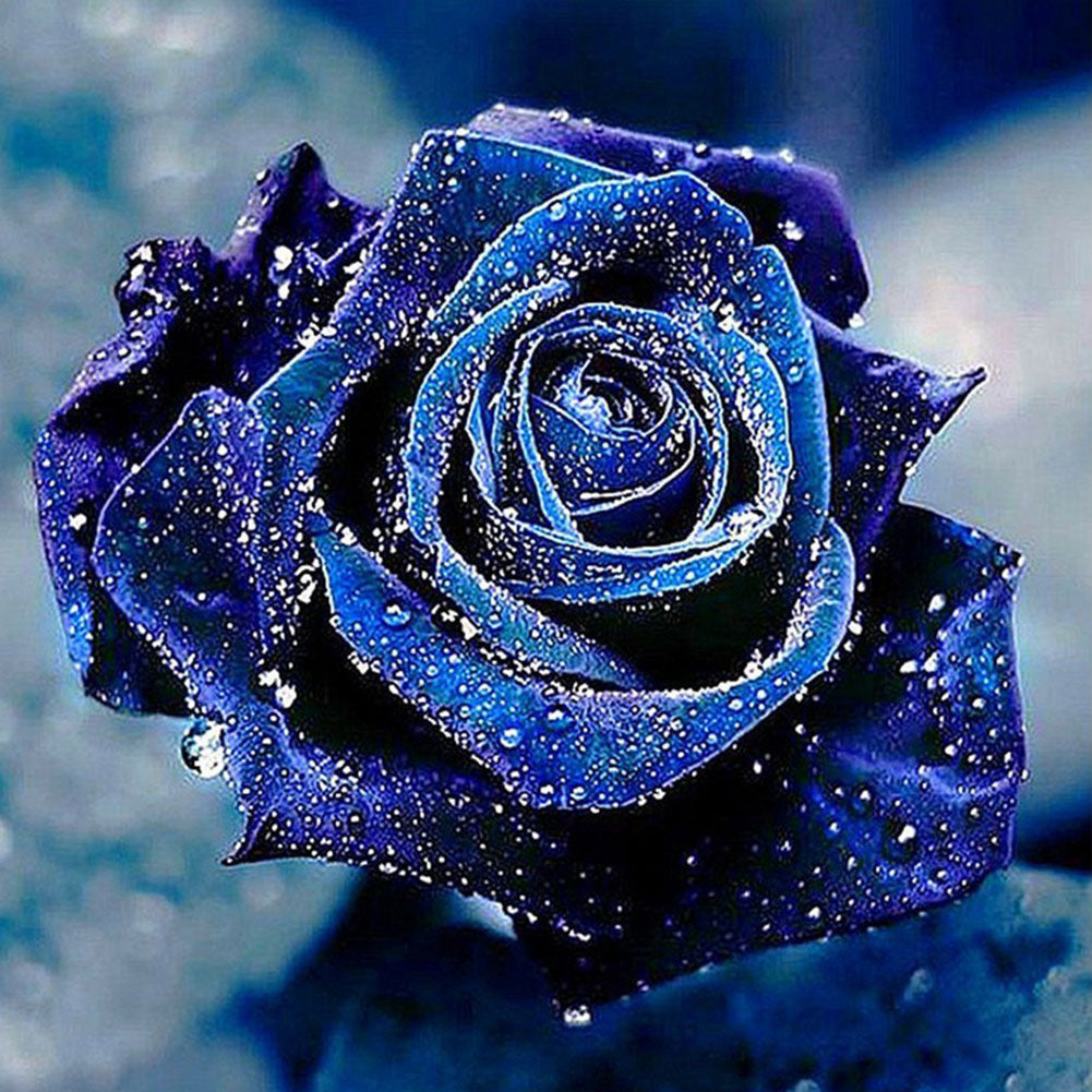 Diamond Painting - Full Round - blue rose (40*40CM)