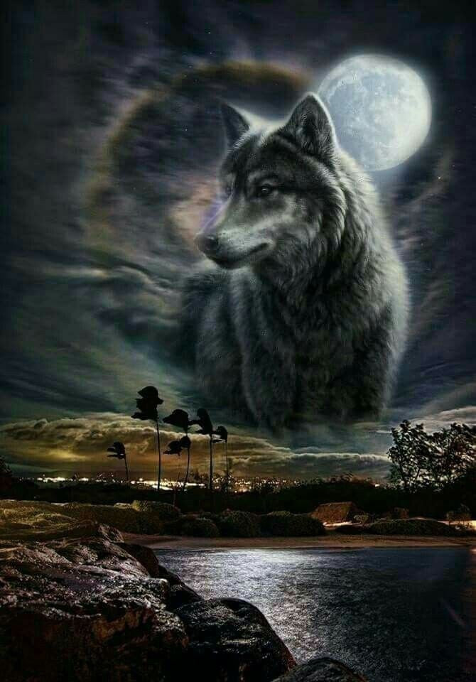 AB Diamond Painting - Full Round - Moon Wolf (40*56cm)