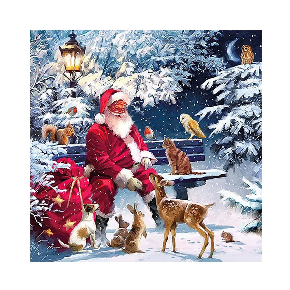 Diamond Painting - Full Square - Santa Claus (30*30CM)
