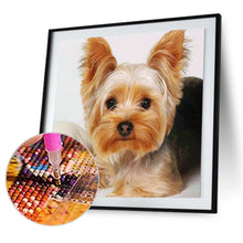 Load image into Gallery viewer, Diamond Painting - Full Square - puppy (40*40CM)
