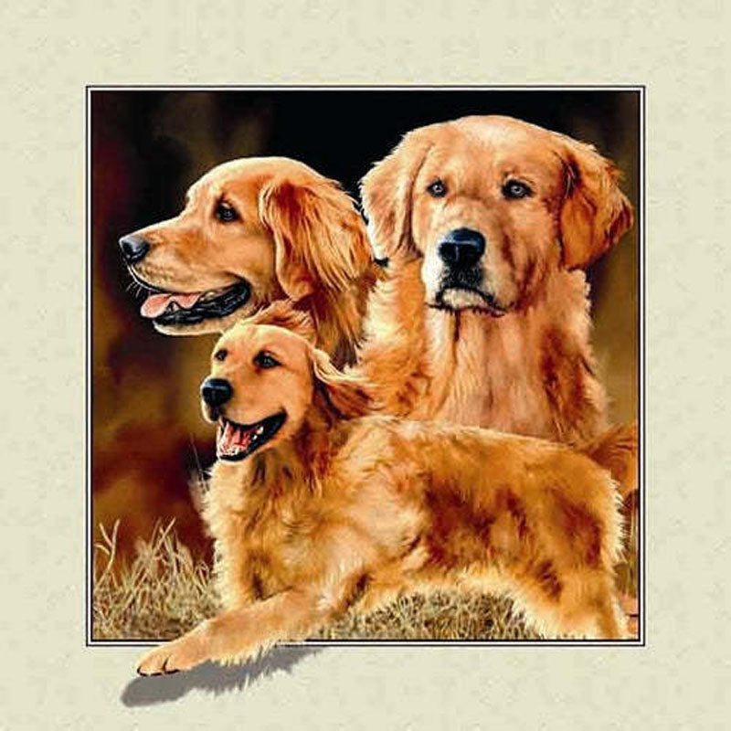 Diamond Painting - Full Round - dog stepping out of frame (30*30CM)