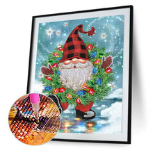 Load image into Gallery viewer, Diamond Painting - Partial Special Shaped - goblin (30*40CM)

