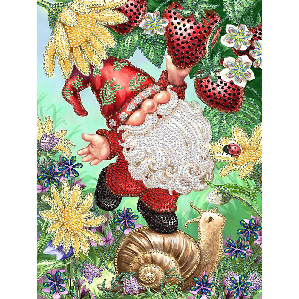 Diamond Painting - Partial Special Shaped - goblin (30*40CM)