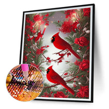 Load image into Gallery viewer, Diamond Painting - Full Round - cardinal bird (30*40CM)
