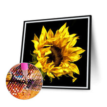 Load image into Gallery viewer, Diamond Painting - Full Round - butterfly red rose (30*30CM)
