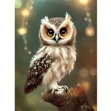Load image into Gallery viewer, Diamond Painting - Full Round - owl (30*40CM)
