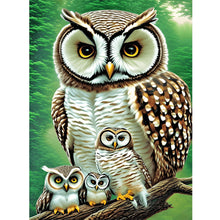 Load image into Gallery viewer, Diamond Painting - Full Round - owl (30*40CM)
