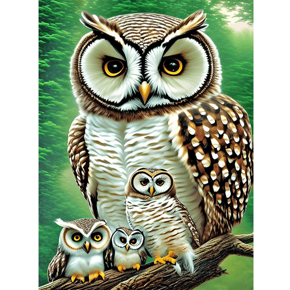 Diamond Painting - Full Round - owl (30*40CM)