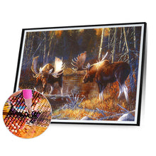 Load image into Gallery viewer, Diamond Painting - Full Round - rhino in water (40*30CM)
