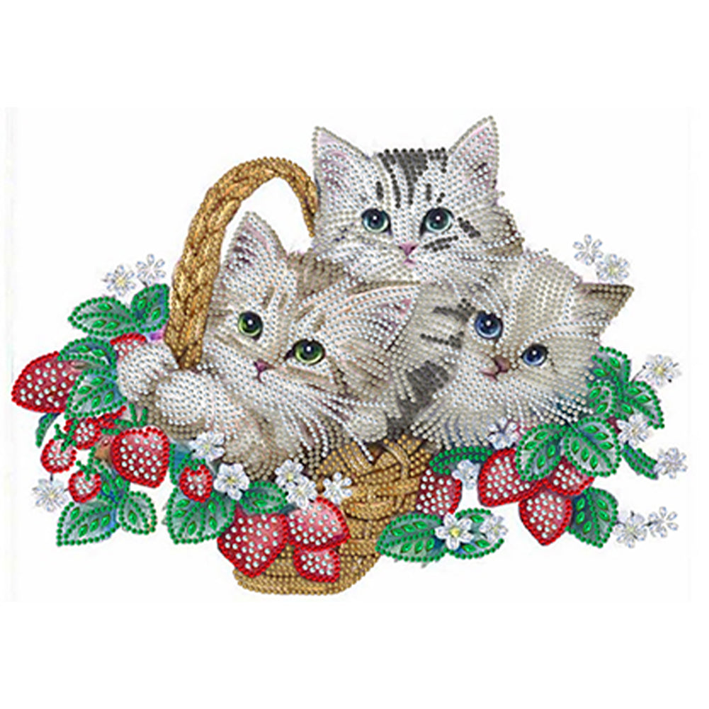 Diamond Painting - Partial Special Shaped - flower cat (40*30CM)
