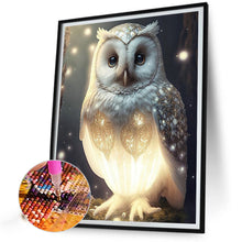Load image into Gallery viewer, Diamond Painting - Full Round - Luminous Owl (30*40CM)
