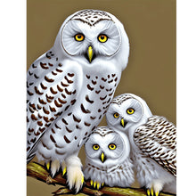 Load image into Gallery viewer, Diamond Painting - Full Round - white owl (30*40CM)

