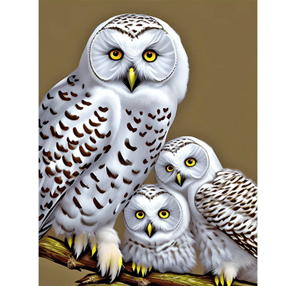 Diamond Painting - Full Round - white owl (30*40CM)