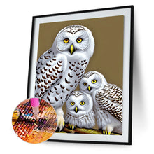 Load image into Gallery viewer, Diamond Painting - Full Round - white owl (30*40CM)
