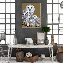 Load image into Gallery viewer, Diamond Painting - Full Round - white owl (30*40CM)
