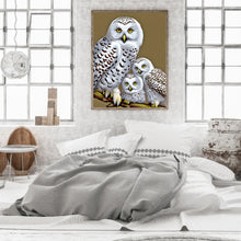 Load image into Gallery viewer, Diamond Painting - Full Round - white owl (30*40CM)
