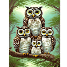 Load image into Gallery viewer, Diamond Painting - Full Round - brown owl (30*40CM)
