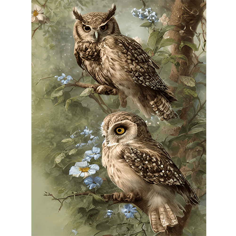 Diamond Painting - Full Round - owl (30*40CM)