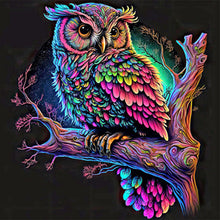 Load image into Gallery viewer, Diamond Painting - Full Round - colorful owl (30*30CM)
