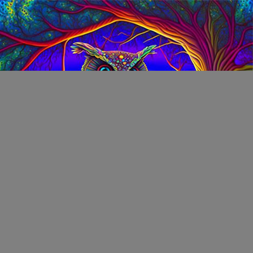 Diamond Painting - Full Round - night owl (30*30CM)