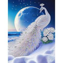 Load image into Gallery viewer, Diamond Painting - Partial Special Shaped - Peacock (30*40CM)
