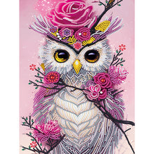 Load image into Gallery viewer, Diamond Painting - Partial Special Shaped - owl (30*40CM)
