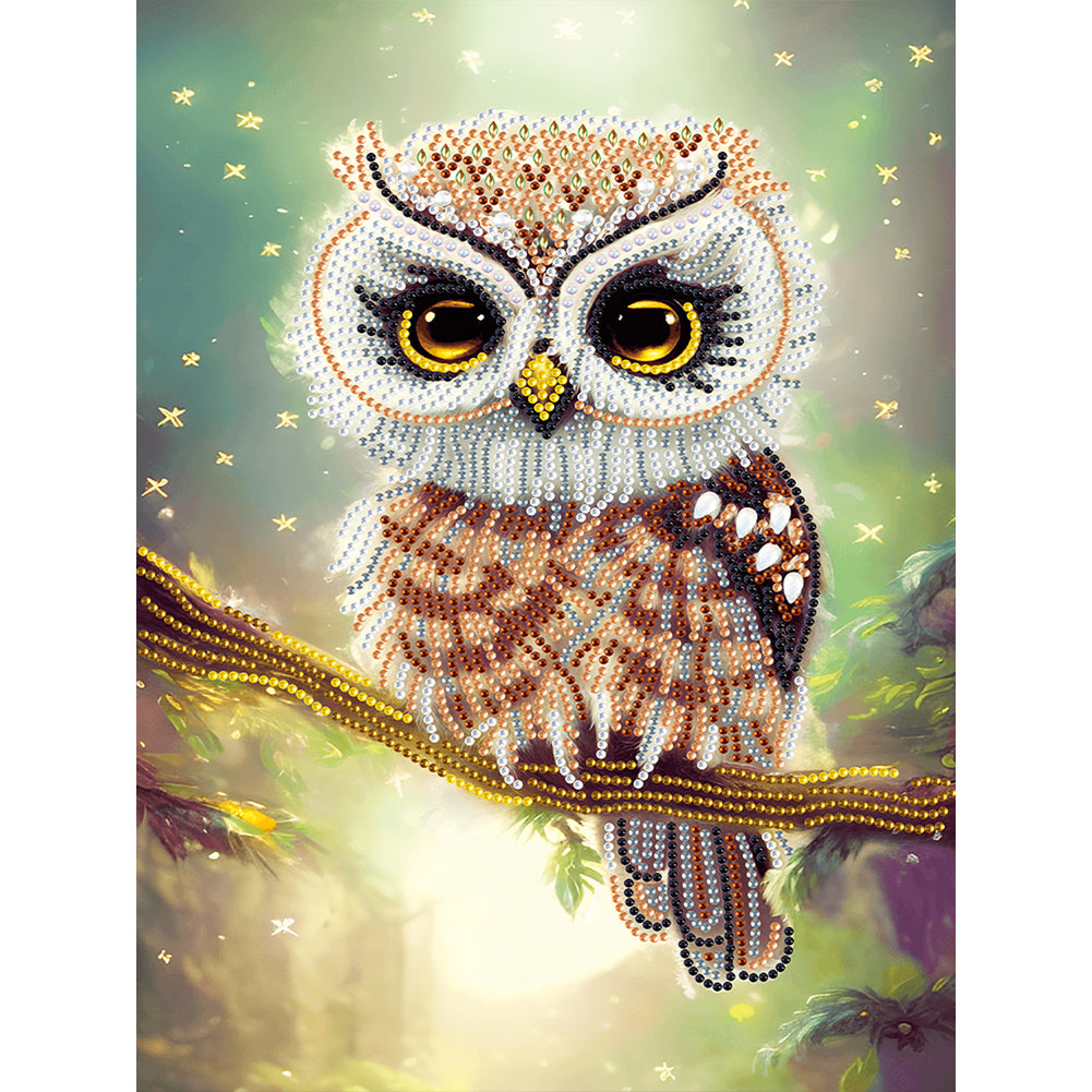 Diamond Painting - Partial Special Shaped - owl (30*40CM)