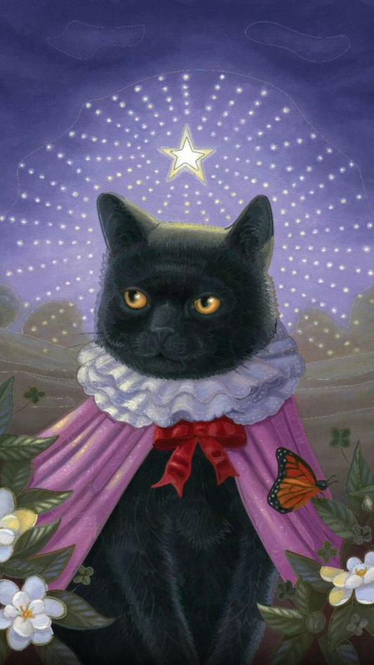 AB Diamond Painting - Full Round - Black Cat  Princess (40*70cm)