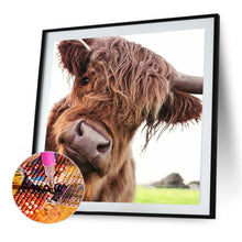 Load image into Gallery viewer, Diamond Painting - Full Round - yak (30*30CM)
